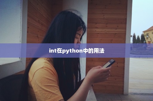 int在python中的用法