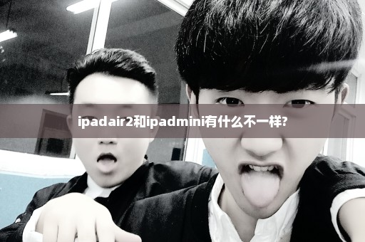ipadair2和ipadmini有什么不一样?
