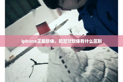 iphone正版软体，和越狱软体有什么区别