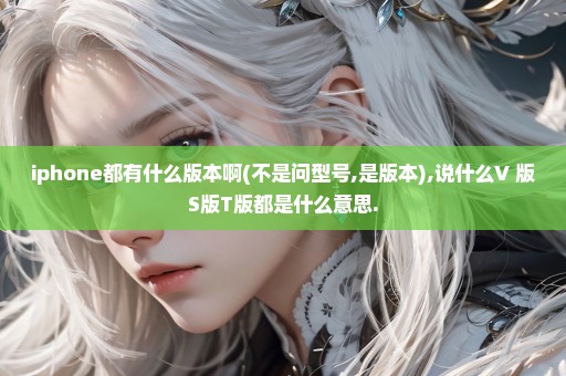 iphone都有什么版本啊(不是问型号,是版本),说什么V 版S版T版都是什么意思.