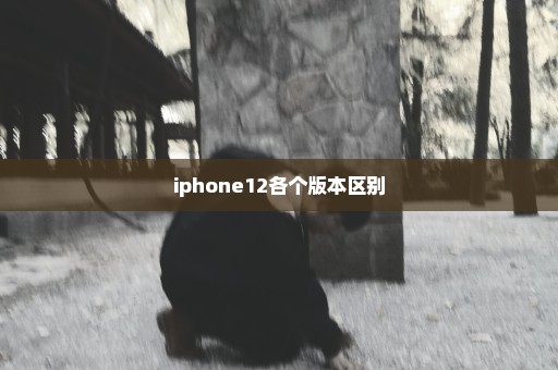 iphone12各个版本区别