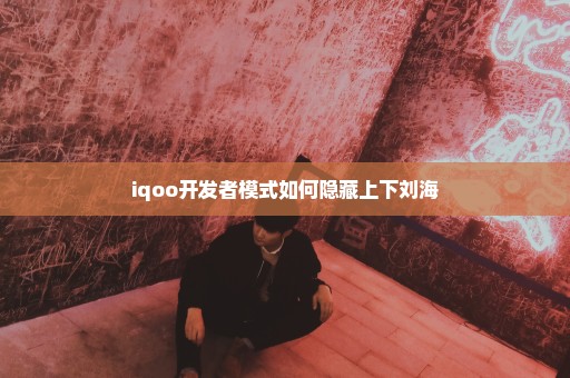 iqoo开发者模式如何隐藏上下刘海
