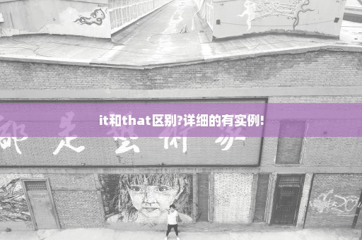 it和that区别?详细的有实例!
