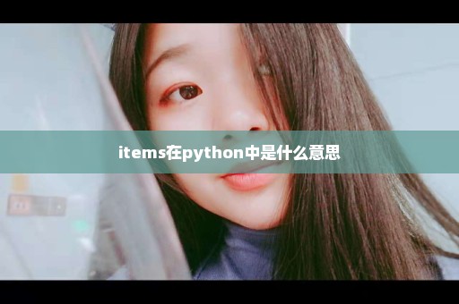 items在python中是什么意思