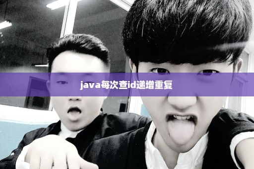 java每次查id递增重复