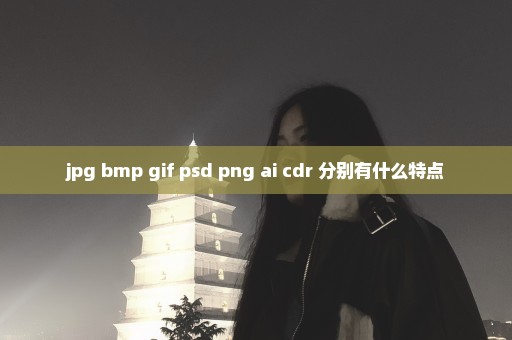 jpg bmp gif psd png ai cdr 分别有什么特点