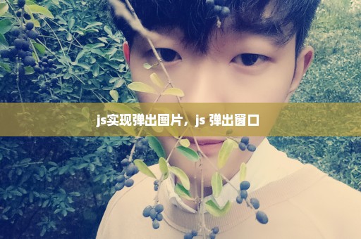 js实现弹出图片，js 弹出窗口 