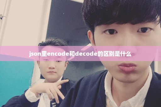 json里encode和decode的区别是什么