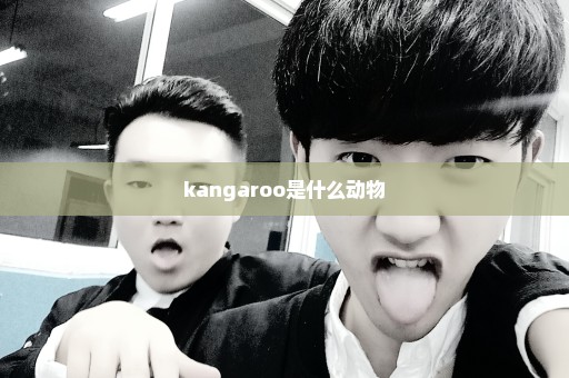 kangaroo是什么动物