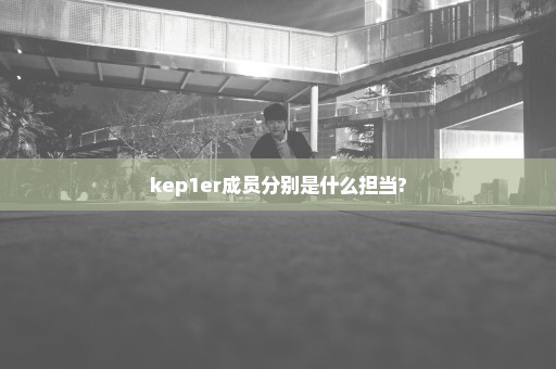 kep1er成员分别是什么担当?