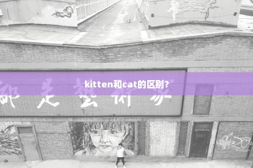 kitten和cat的区别？