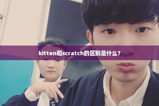 kitten和scratch的区别是什么？