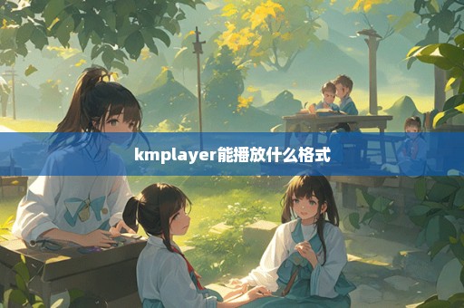 kmplayer能播放什么格式