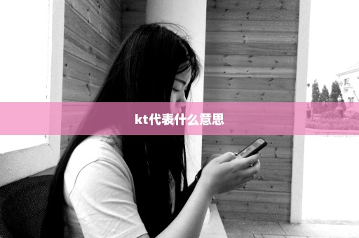 kt代表什么意思