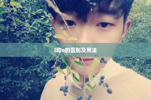 l和n的区别及用法