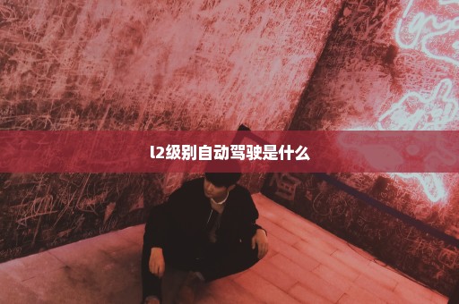 l2级别自动驾驶是什么