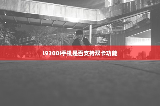 l9300i手机是否支持双卡功能