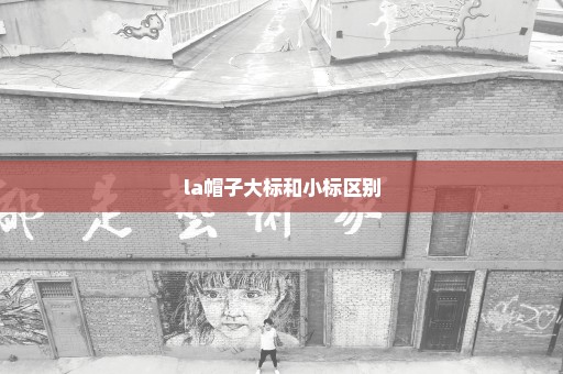 la帽子大标和小标区别
