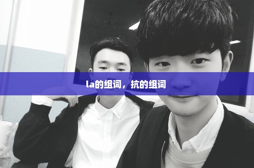 la的组词，抗的组词 