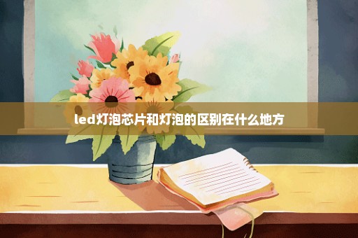 led灯泡芯片和灯泡的区别在什么地方