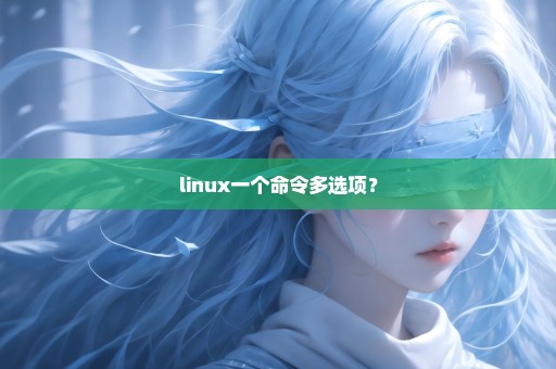 linux一个命令多选项？
