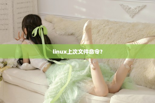 linux上次文件命令？
