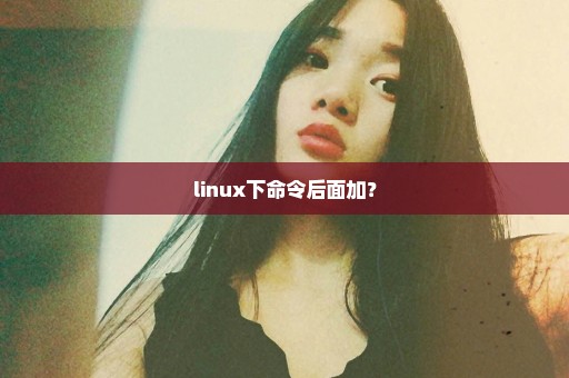 linux下命令后面加？