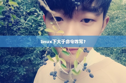 linux下大于命令咋写？
