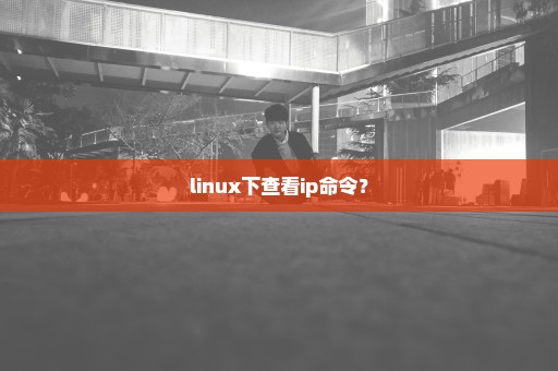 linux下查看ip命令？