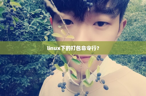linux下的打包命令行？