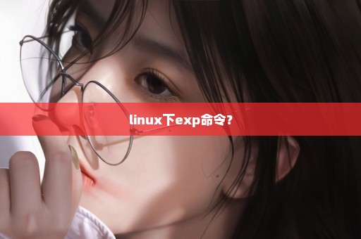 linux下exp命令？