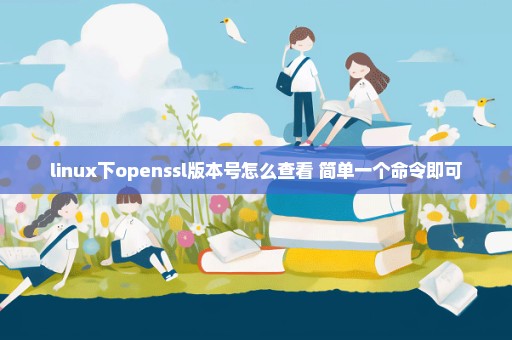 linux下openssl版本号怎么查看 简单一个命令即可