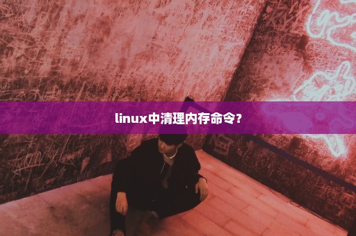 linux中清理内存命令？