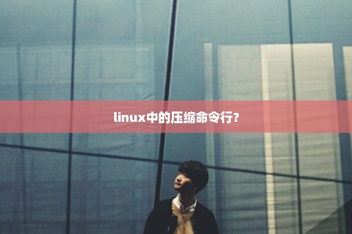 linux中的压缩命令行？