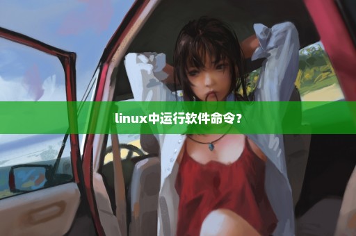 linux中运行软件命令？