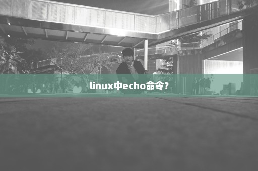 linux中echo命令？