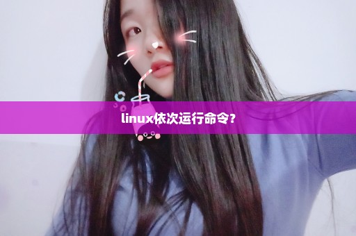 linux依次运行命令？