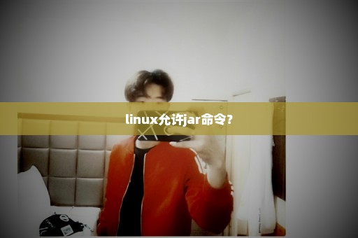 linux允许jar命令？