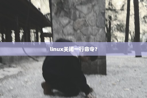 linux关闭一行命令？