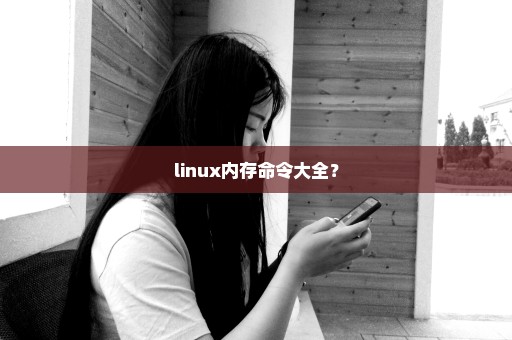 linux内存命令大全？
