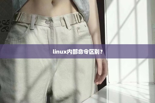 linux内部命令区别？