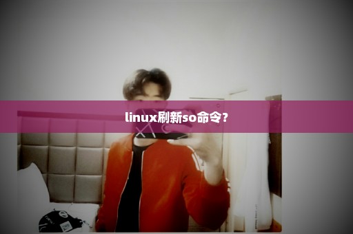 linux刷新so命令？