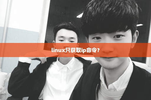 linux只获取ip命令？
