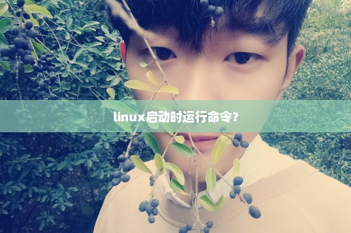 linux启动时运行命令？