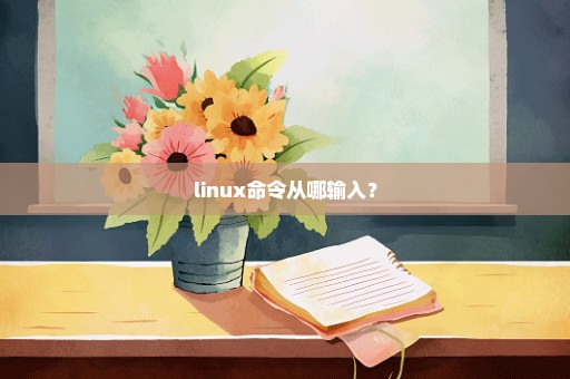linux命令从哪输入？