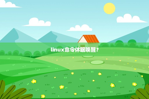 linux命令休眠唤醒？