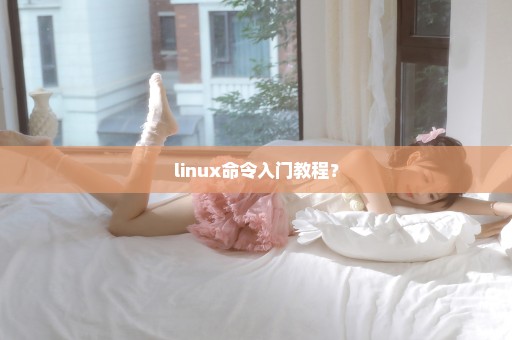 linux命令入门教程？