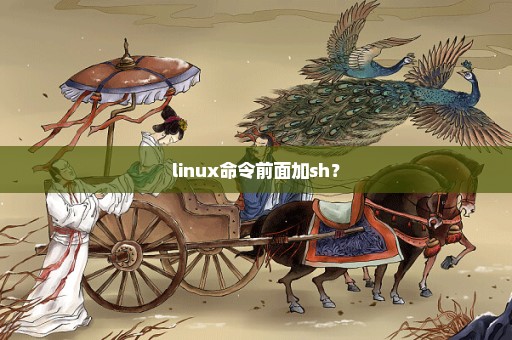 linux命令前面加sh？