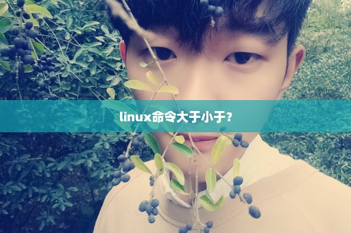 linux命令大于小于？