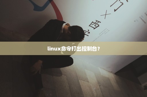 linux命令打出控制台？